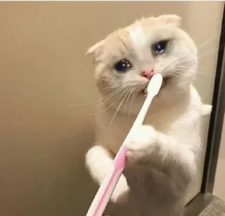 😭
