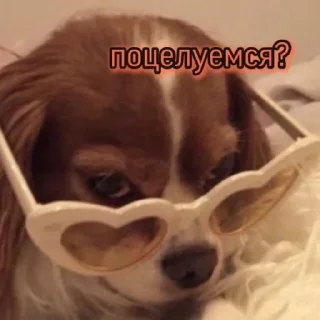 😏