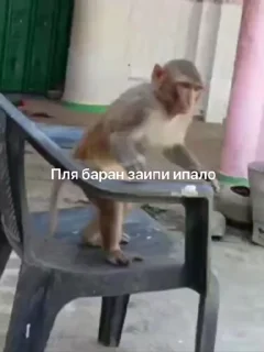 😎