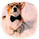 🤓