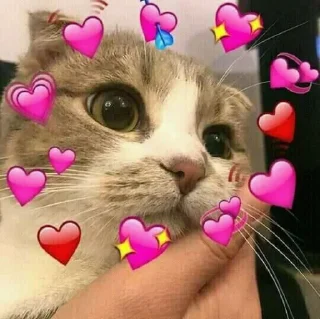 🥰