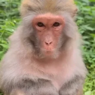 🤣
