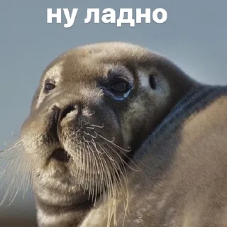 🫠