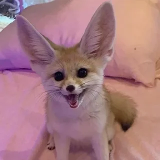 😃