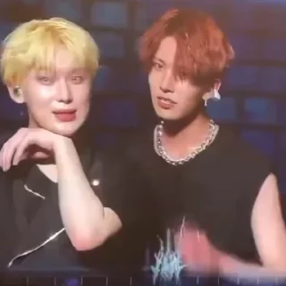 🦊