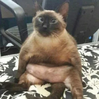 🧐