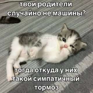 😏