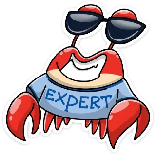 😎