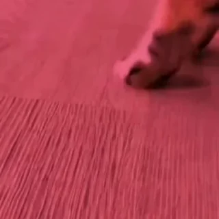 🤩