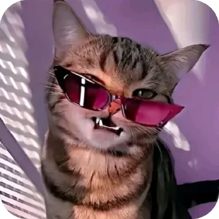 🤪