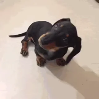 😳