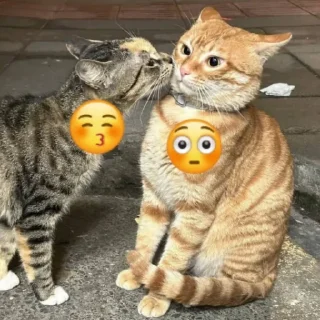 😚