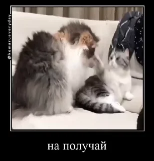 ☺️