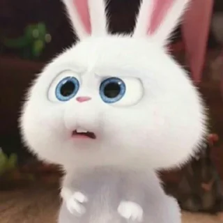 😶