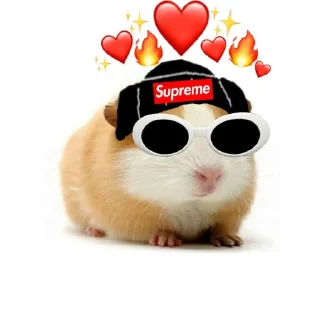 🐹