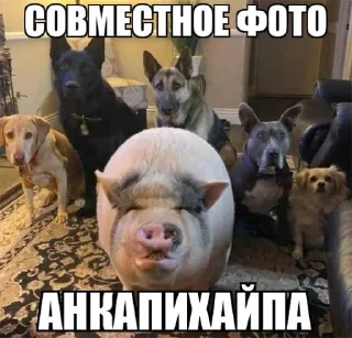 📸