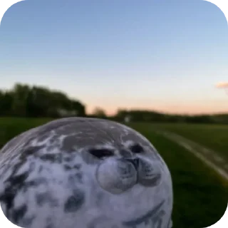 👍