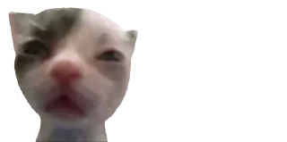 🐈