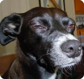 😑