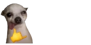 🐈