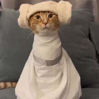 👸
