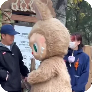 🧦