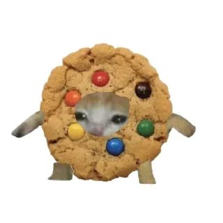 🐱