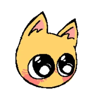 😽