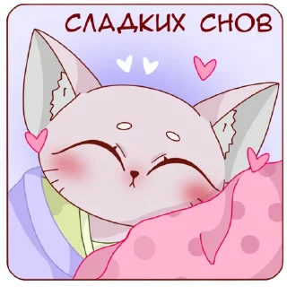 😴