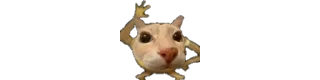 🐈