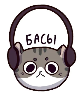 🐈