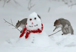 ☃️