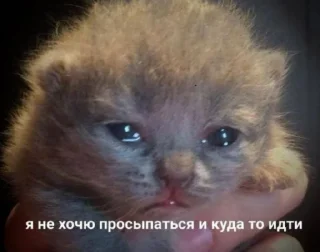 😭