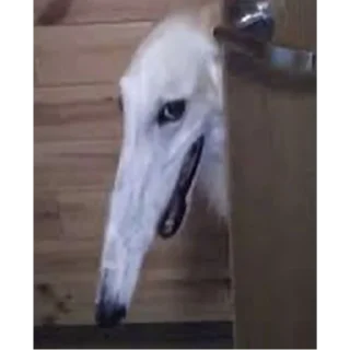 😏