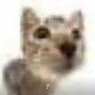 ❓