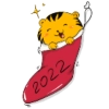 Tiger Year