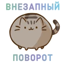🙀
