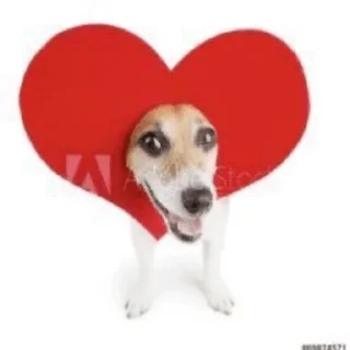 💝