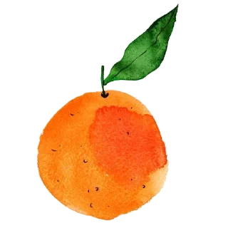 🍊