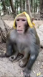 🍌