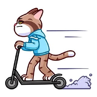 🏃‍♂️
