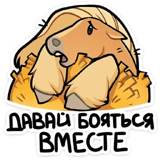 🤗
