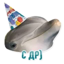 🎂