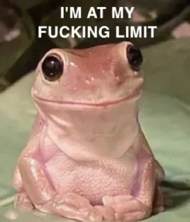 🐸