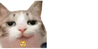 🐈