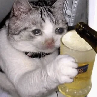 🍺