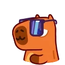 😎