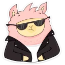 😎