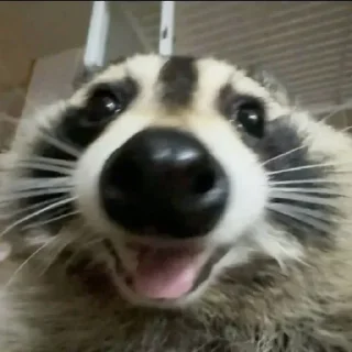😃