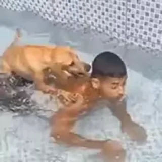 🐕